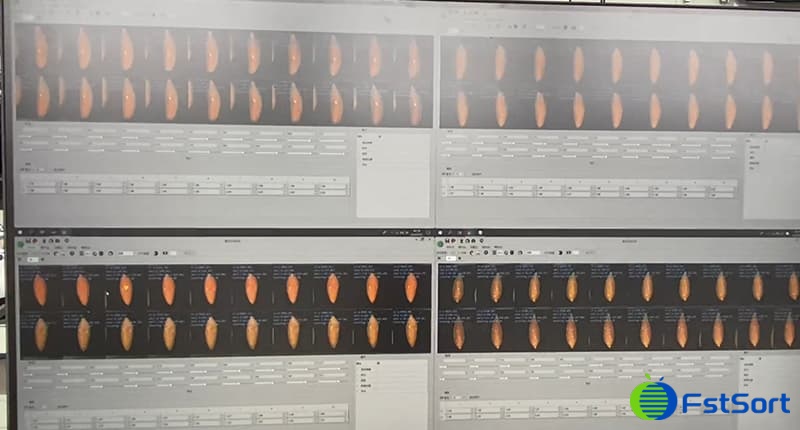 images/1690788560066sweet potato color processing line.jpg